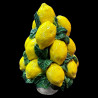 Lemon pyramid centerpiece 