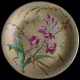 Opuntia ficus-indica Assiette XIX D 23 cm
