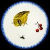 Majolica dinner plate quail, cricket and cherries