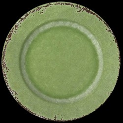 Melamine green dinner plate