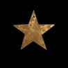 Small gilded star