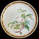 11 assiettes Fleurs en porcelaine Minton, 1874-1884