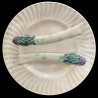 White barbotine asparagus plate Creil & Montereau