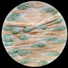 Beige Asparagus Barbotine Plate by Choisy-le-Roi