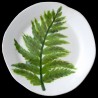 Majolica fern dinner plate