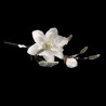 snowy magnolia stem