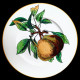 Assiette à dessert Fruits Creil & Montereau XIXe siècle