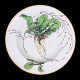 Vegetables Soup Plate Creil & Montereau 19th century