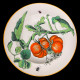Assiette creuse Légumes Creil & Montereau XIXe siècle