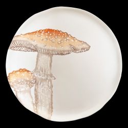 Dinner plate parasol mushroom